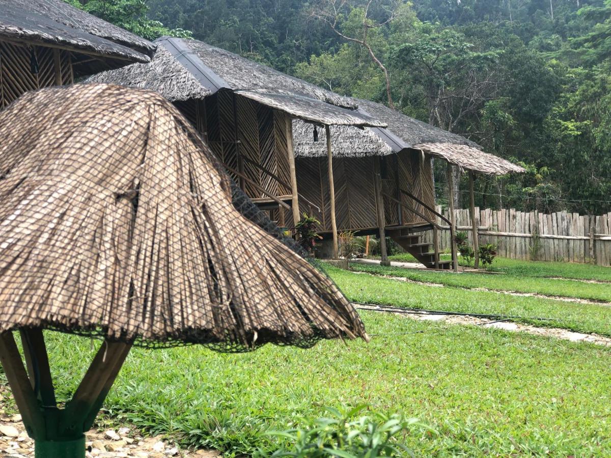 Backpacker'S Hill Resort San Vicente  Bagian luar foto