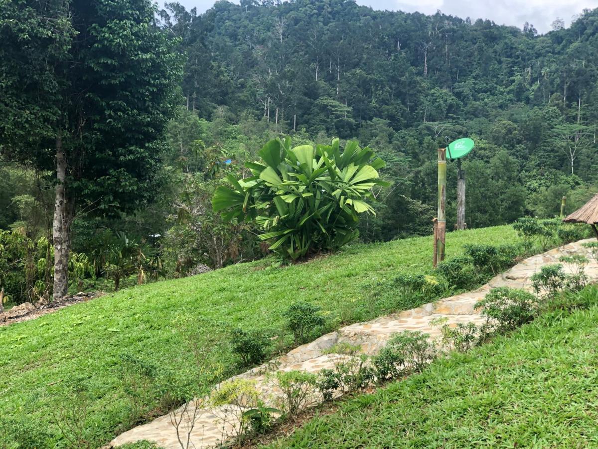 Backpacker'S Hill Resort San Vicente  Bagian luar foto